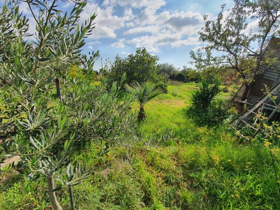 Terreno agricolo Via Acque Munzone  - foto 2