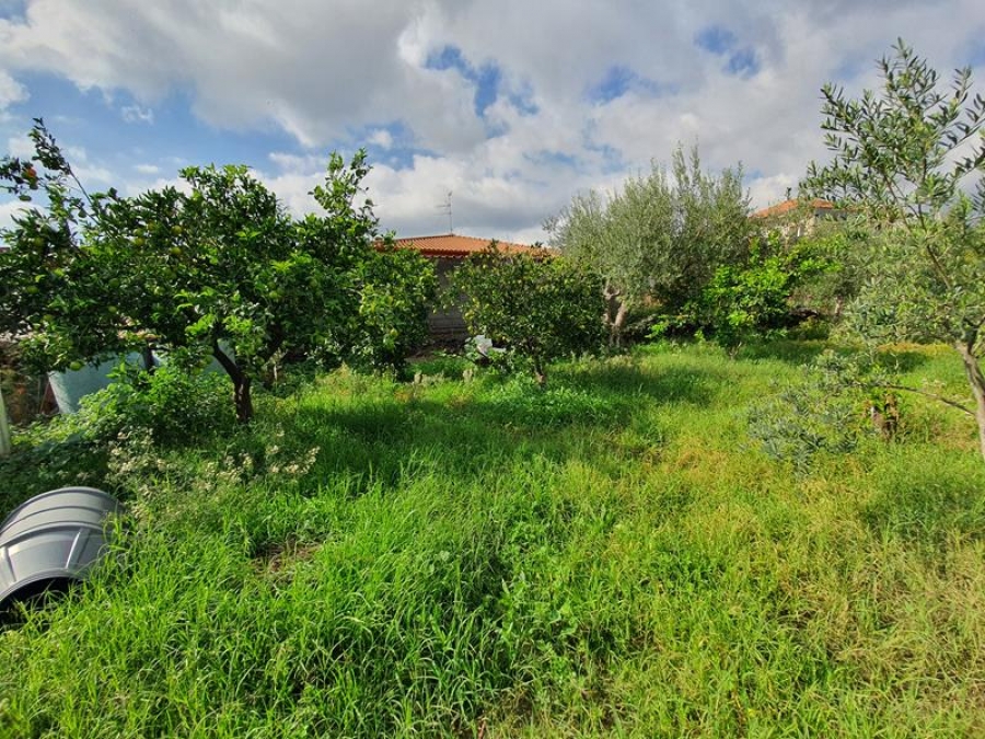 Terreno agricolo Via Acque Munzone  - foto 3