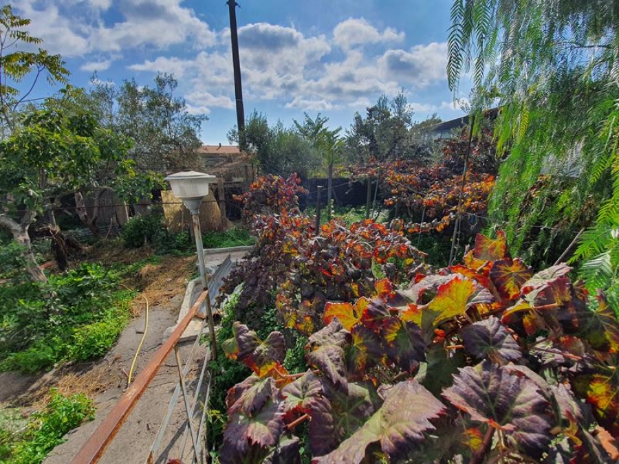 Terreno agricolo Via Acque Munzone  - foto 4