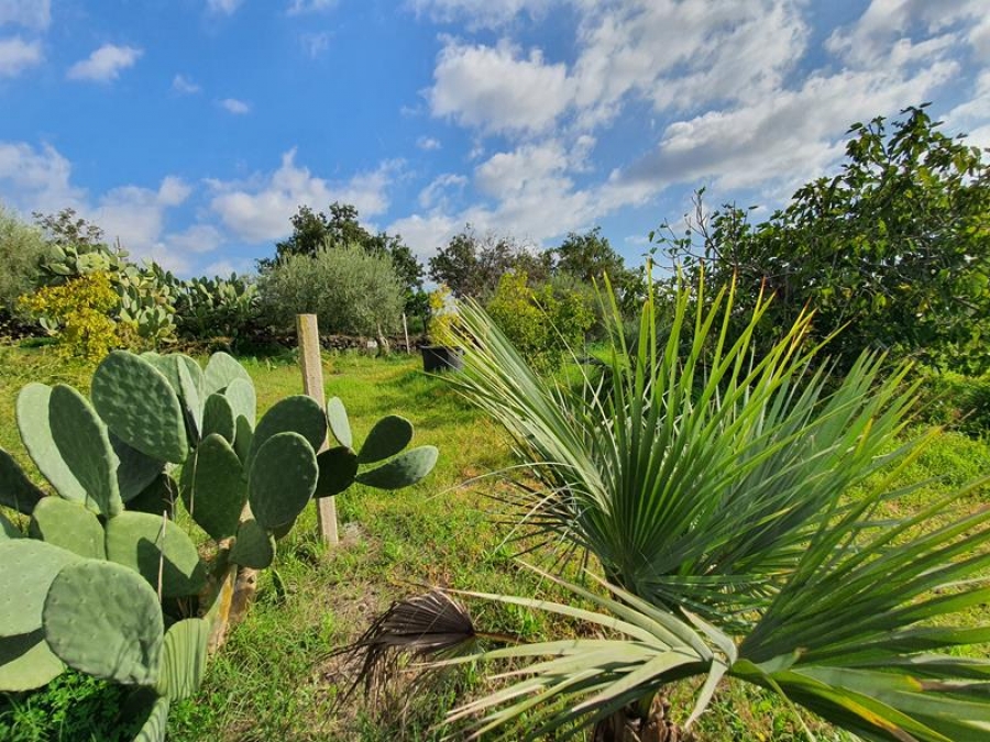 Terreno agricolo Via Acque Munzone  - foto 7