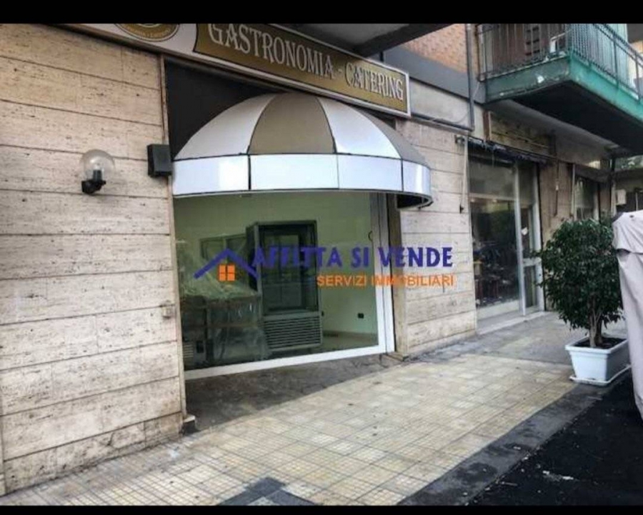 Ristorante - Pizzeria viale zecchino  - foto 2