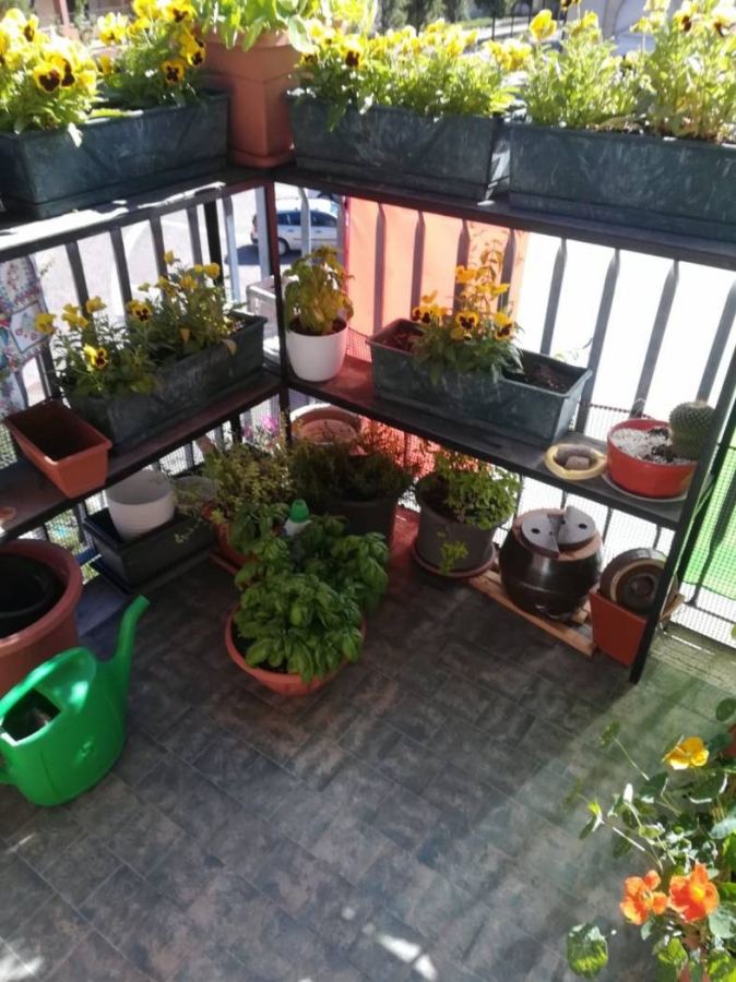 Appartamento Piazza XV Martiri 7  - foto 8
