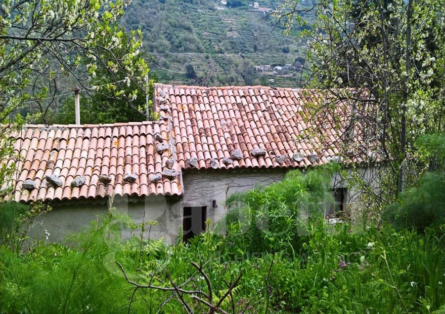 Casa indipendente  - foto 3
