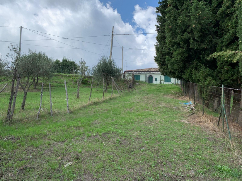 Casa indipendente  - foto 4