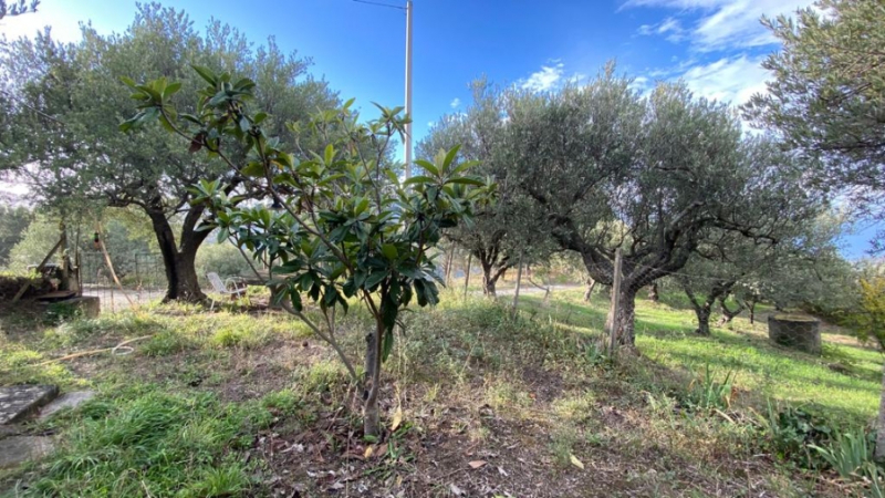 Appartamento  - foto 2