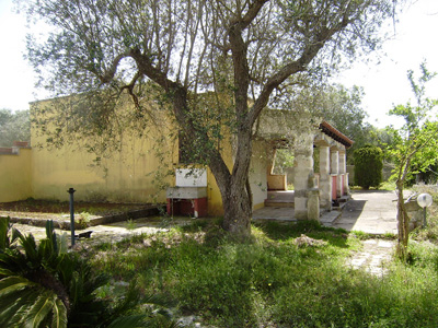  - foto 15