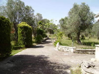  - foto 21