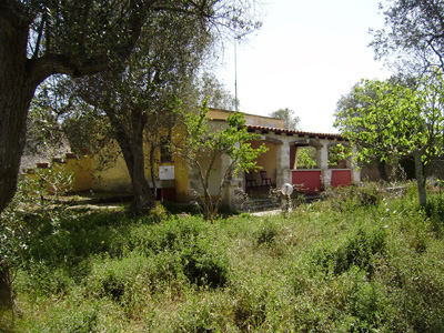  - foto 5