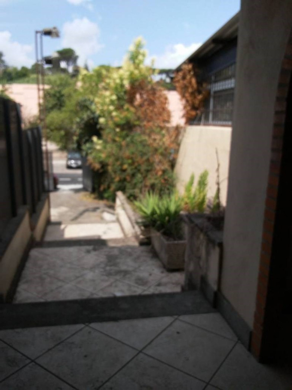  - foto 14
