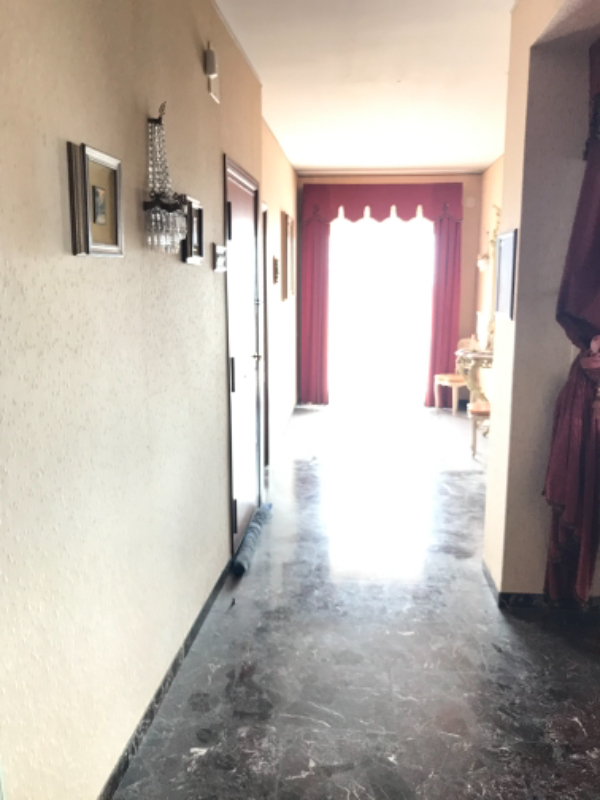  - foto 19
