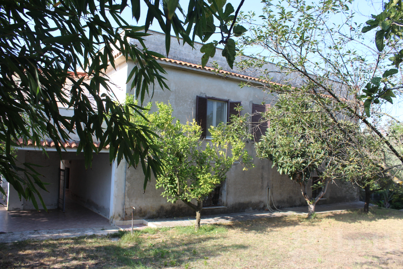 - foto 3