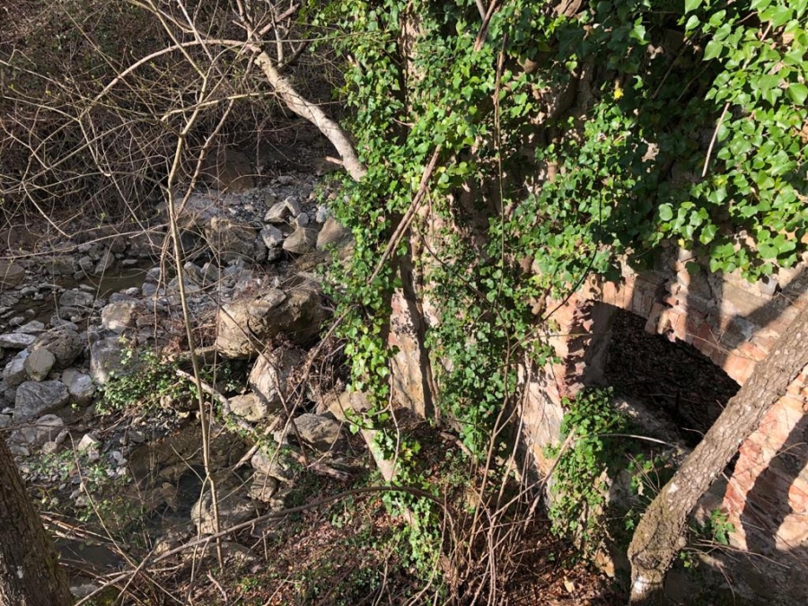 Rustico La Dispensa  - foto 10