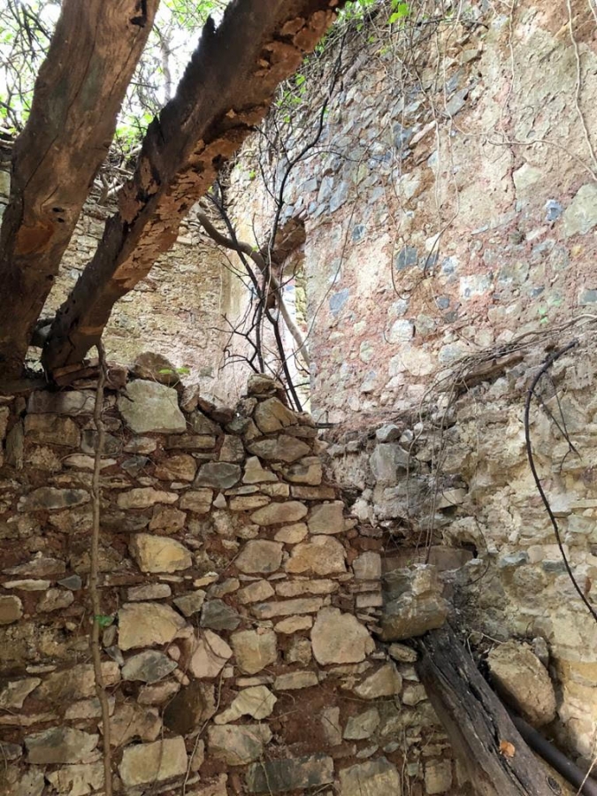 Rustico La Dispensa  - foto 13