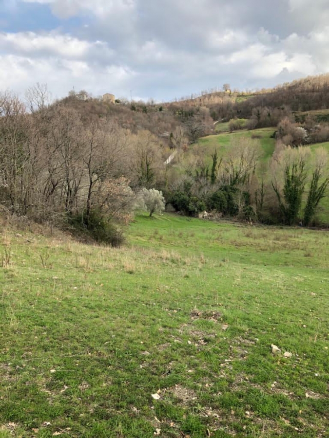 Rustico La Dispensa  - foto 15