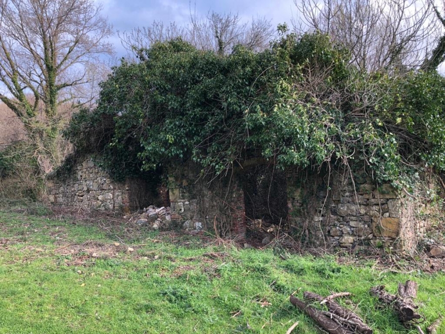 Rustico La Dispensa  - foto 2