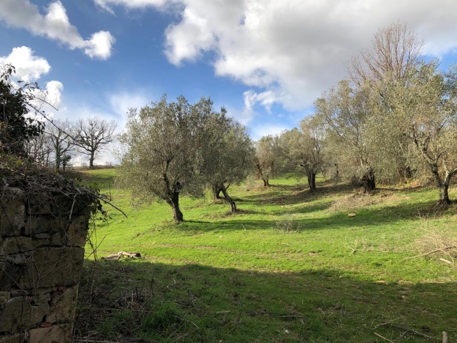 Rustico La Dispensa  - foto 4