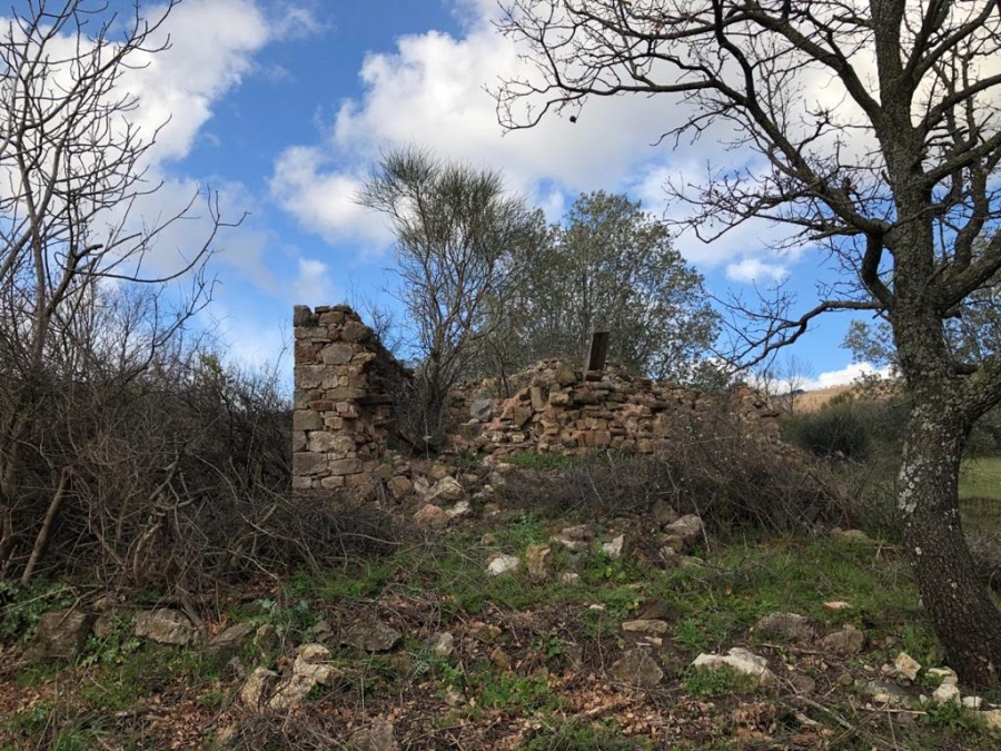 Rustico La Dispensa  - foto 6