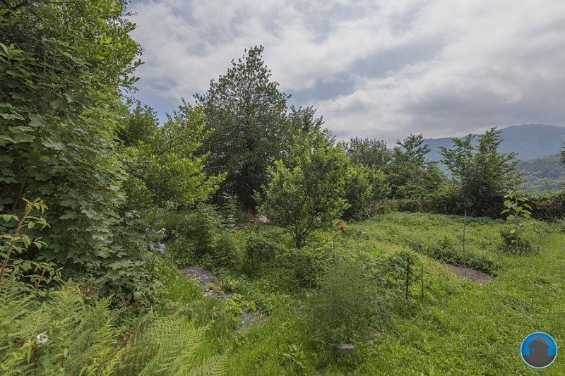 Porzione di casa Via Duca Amedeo 2  - foto 14