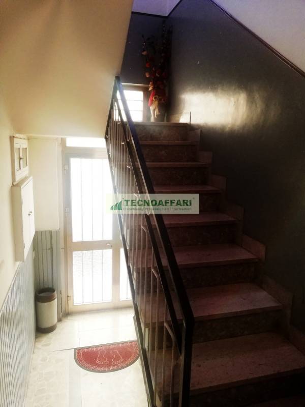  - foto 13