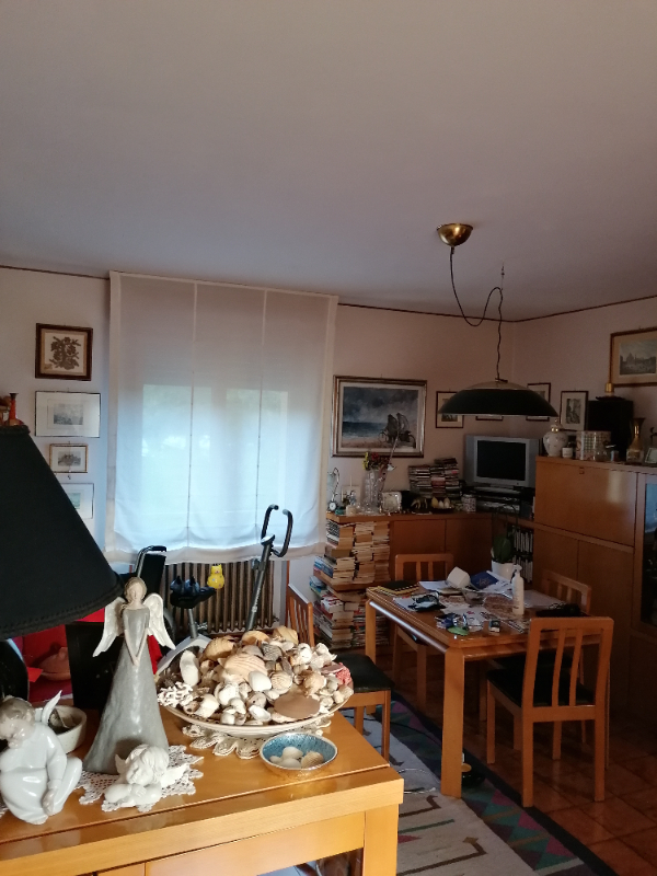  - foto 10
