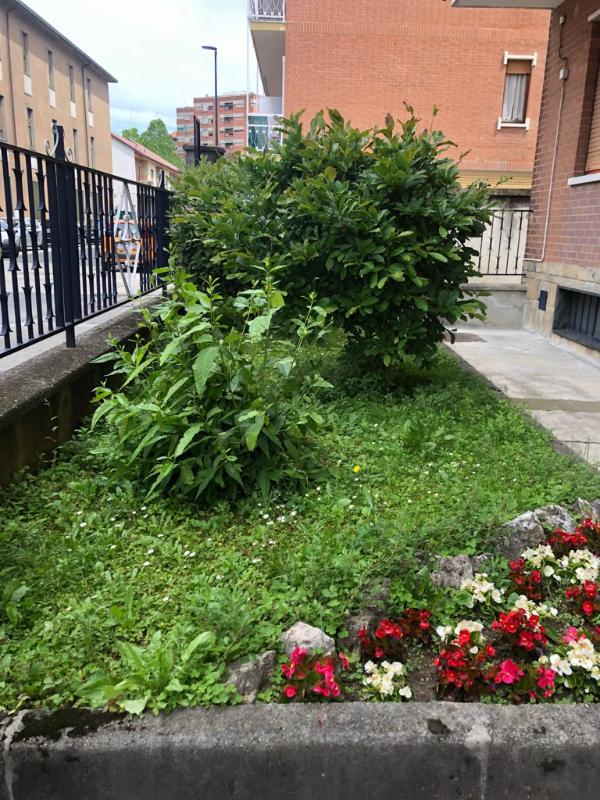  - foto 15