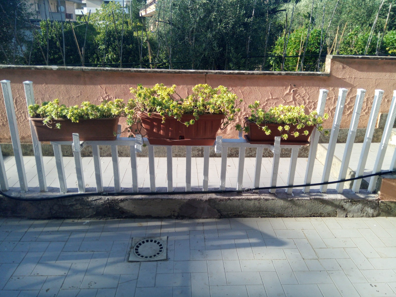  - foto 16