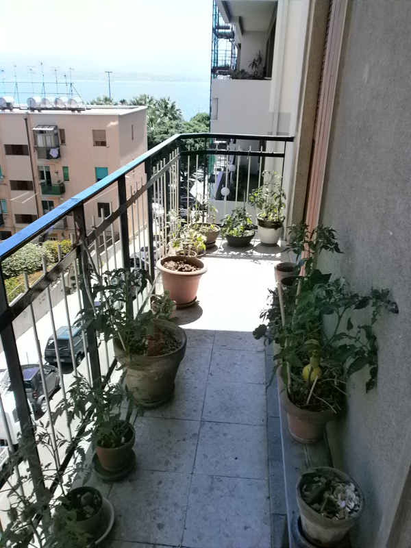  - foto 15