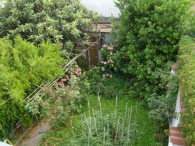  - foto 3