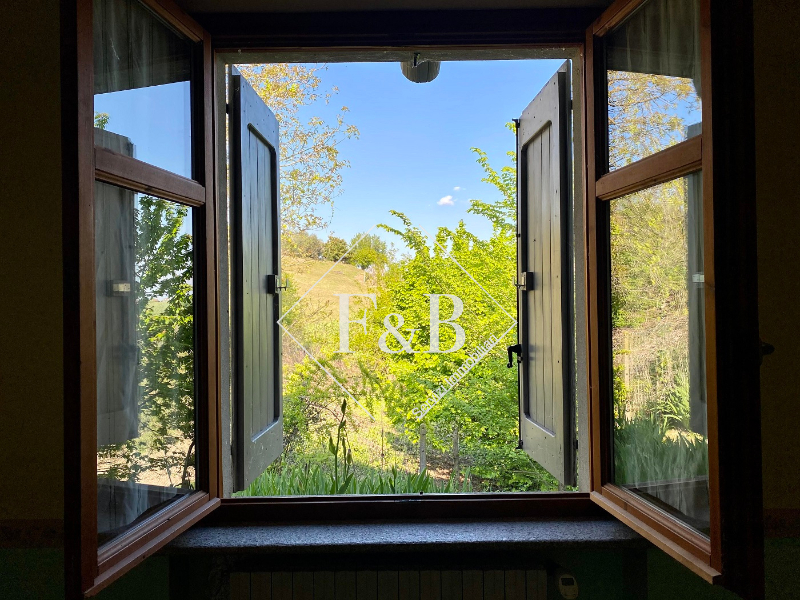  - foto 8