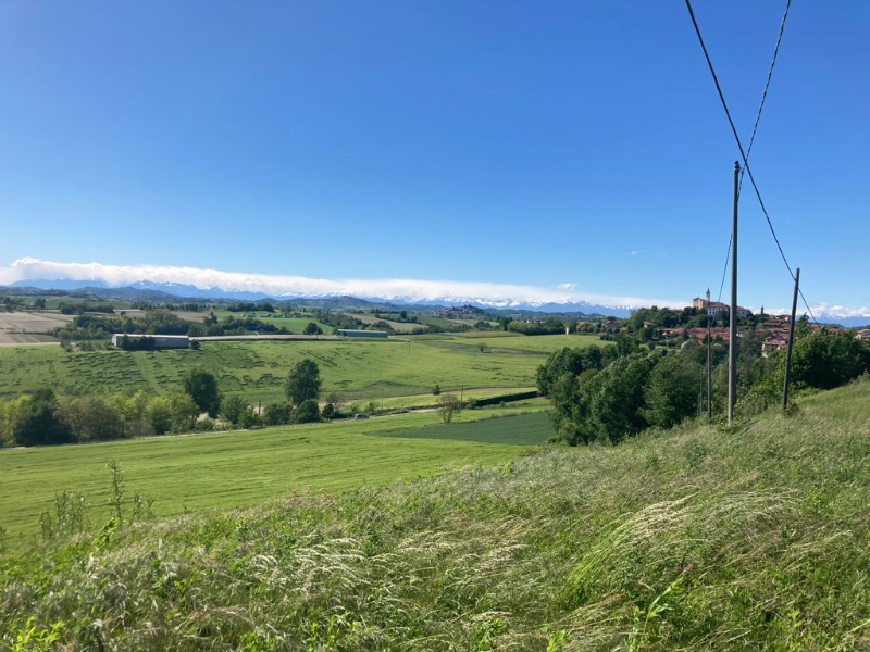  - foto 16