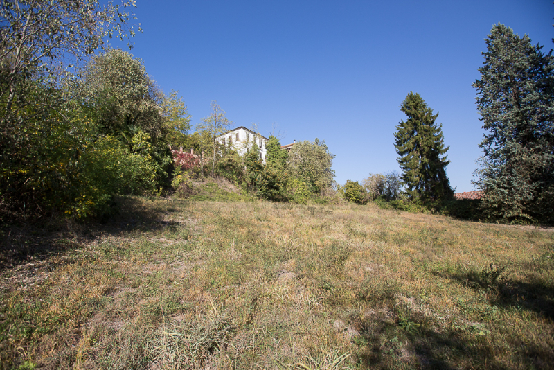  - foto 33