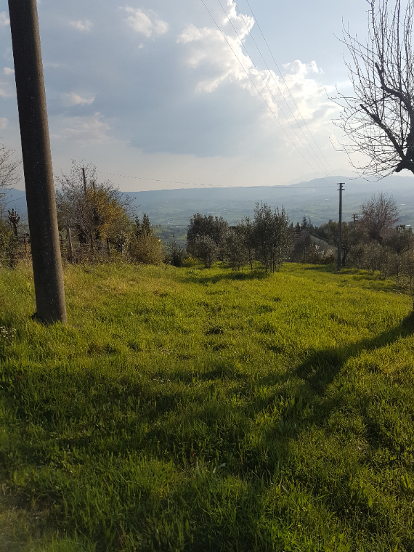  - foto 4