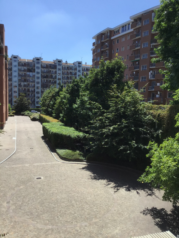  - foto 17
