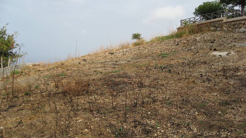  - foto 17