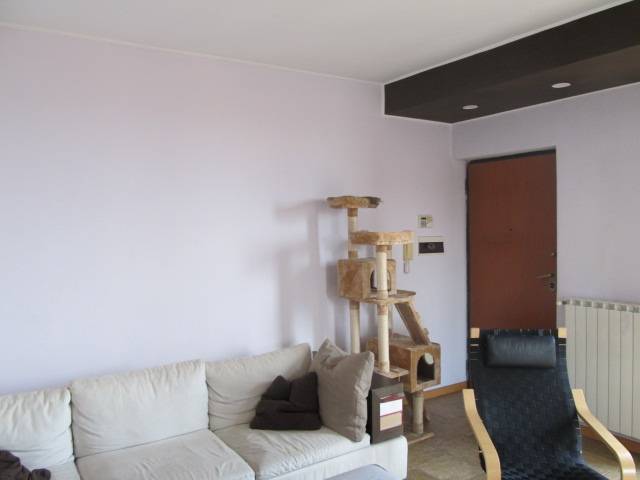  - foto 10