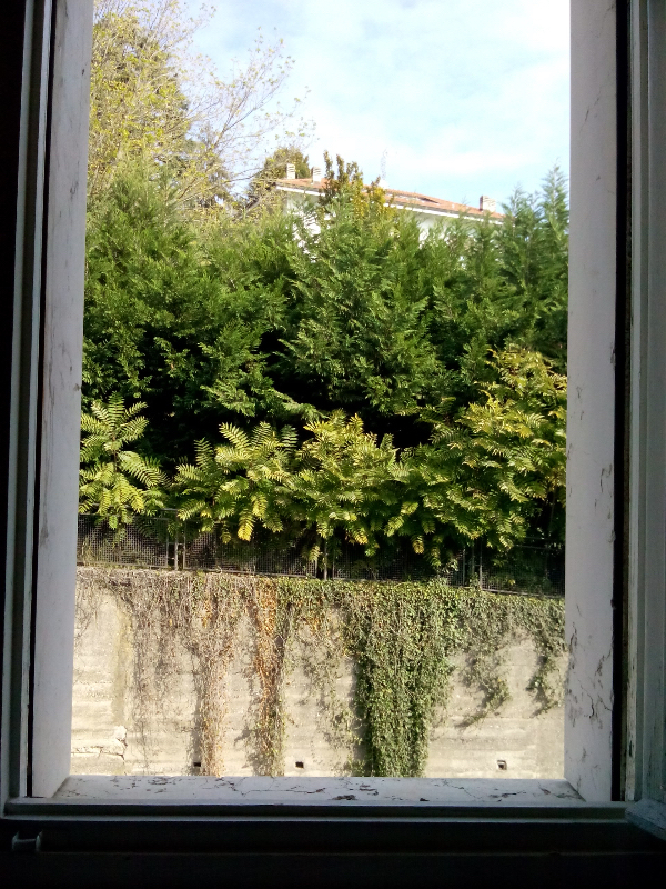  - foto 5