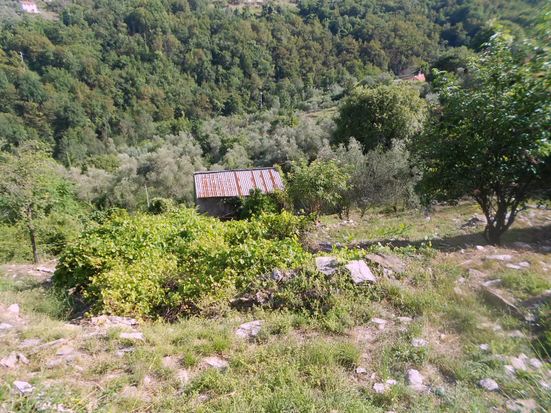  - foto 8