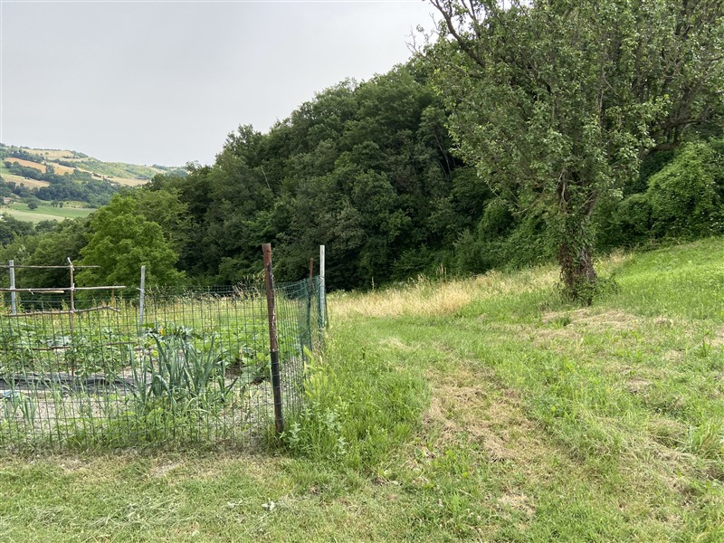  - foto 12