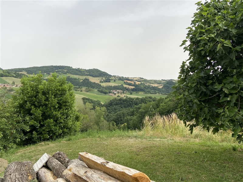  - foto 13