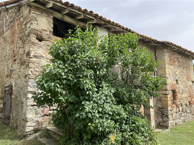  - foto 5
