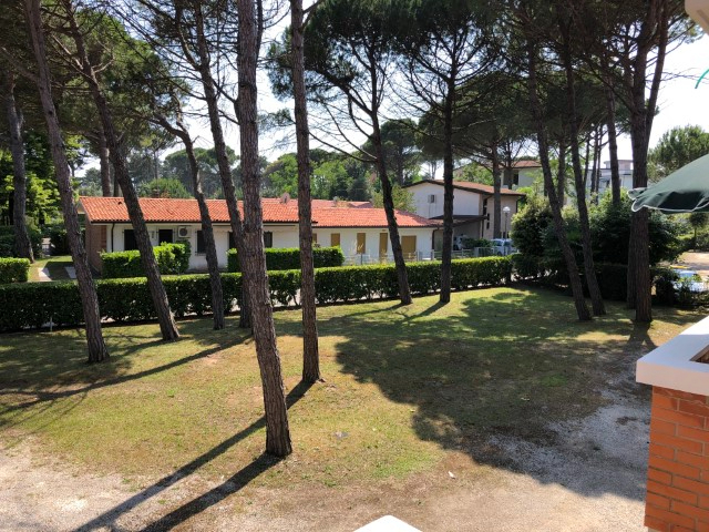  - foto 15