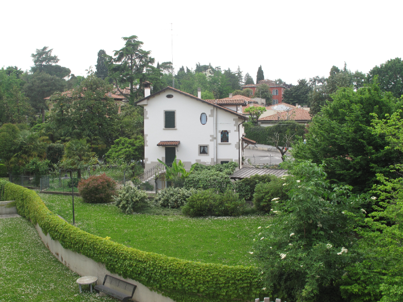  - foto 16