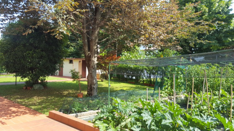  - foto 9