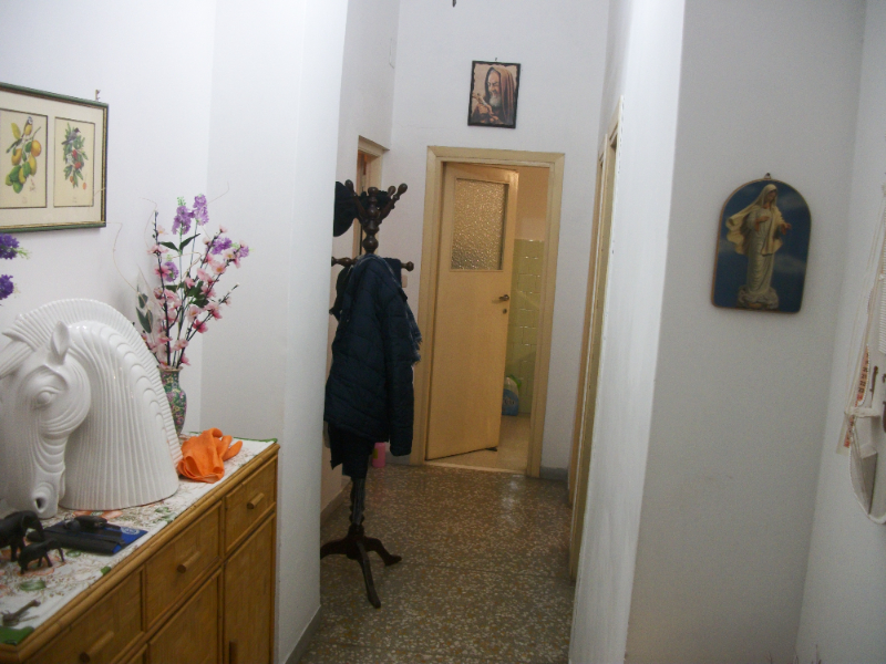  - foto 11