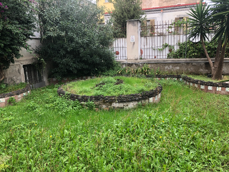  - foto 64