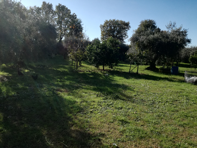  - foto 8