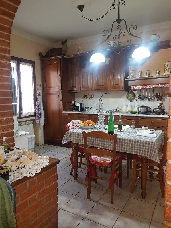  - foto 3
