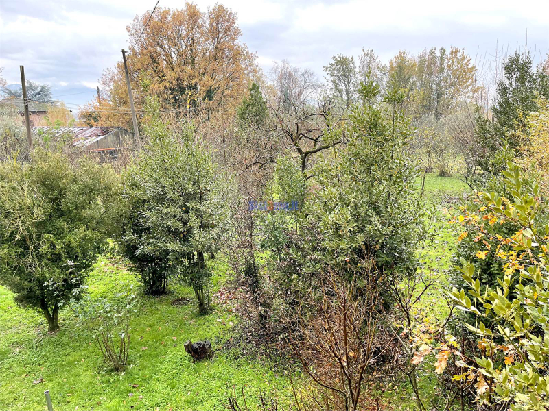  - foto 14