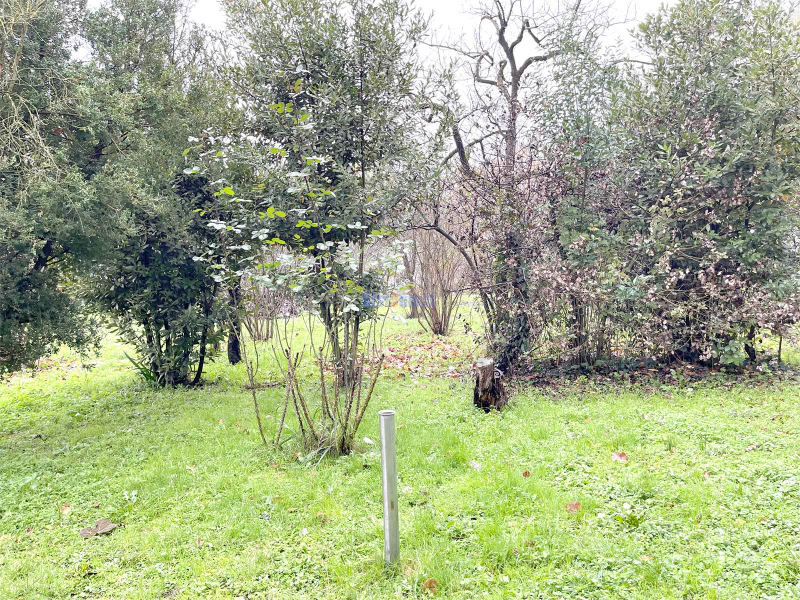  - foto 15