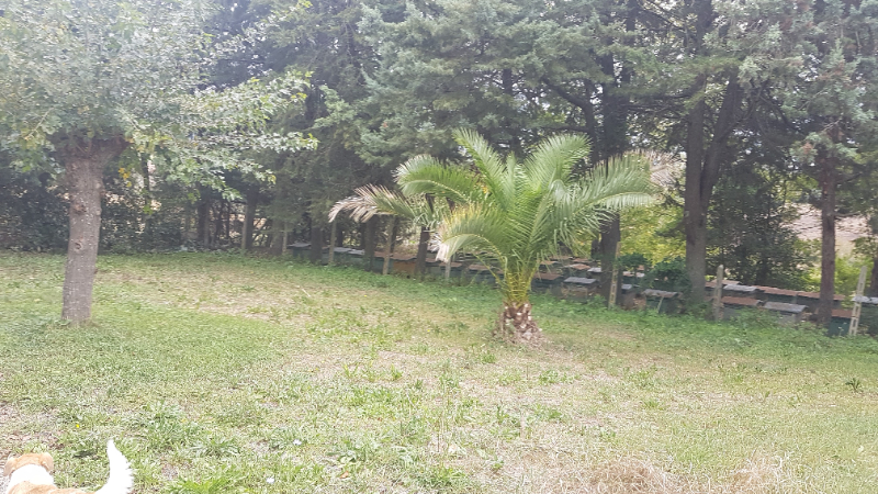  - foto 5